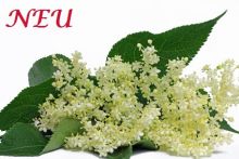 Nr. 49078 Holunderblüten-Aroma für Spirituosen, 20 ml